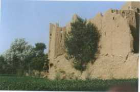 Abdelouahed