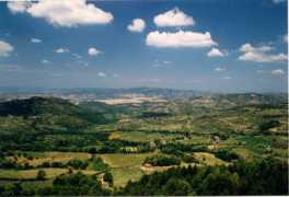 Amiata