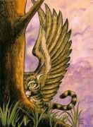 Angelcat