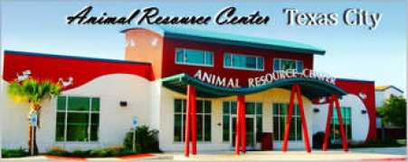 Animalshelter