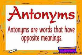 Antonym