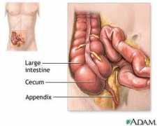 Appendix