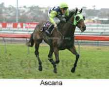 Ascana