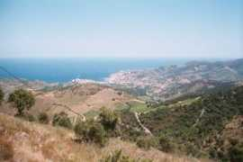 Banyuls