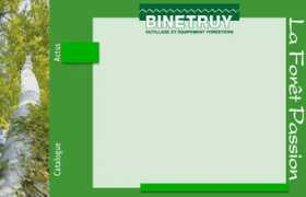 Binetruy