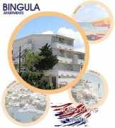Bingula