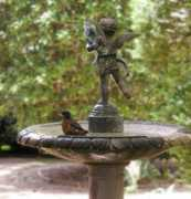 Birdbath