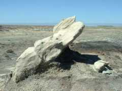 Bisti