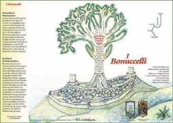 Bonuccelli