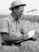 Borlaug