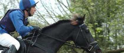 Browbands