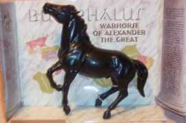 Bucephalus