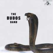 Budos