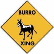 Burro