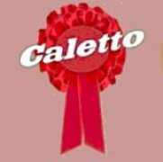 Caleto