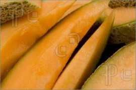 Cantalope