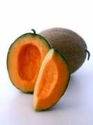 Cantaloupe