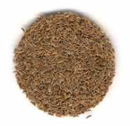 Caraway