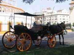 Carrozza