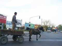 Carrozza