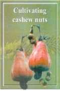 Cashews