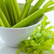 Celery