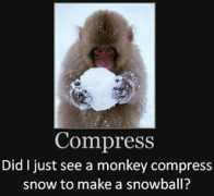 Compress