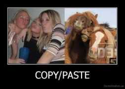 Copypaste