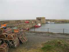 Craster