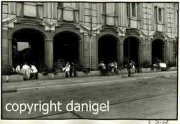 Danigel