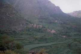 Dhamar