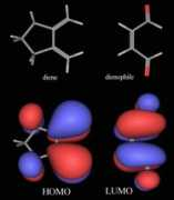 Diels