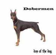 Dobermen