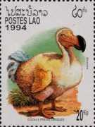 Dodo