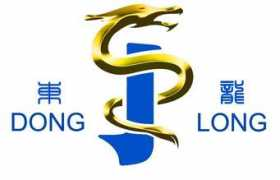 Donglong