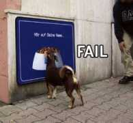 Fails