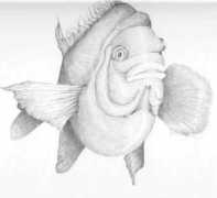 Fatfish
