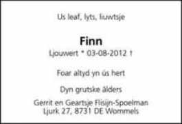 Flisijn