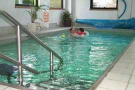 Hydrotherapy