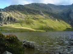 Idwal