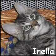Inella