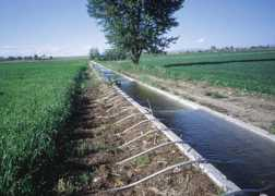 Irrigacion