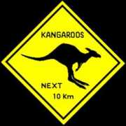 Kangroo