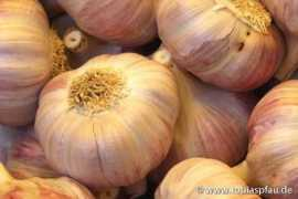 Knoblauch