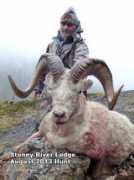 stoneyriverlodge.com Lercel