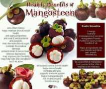 Mangosteen