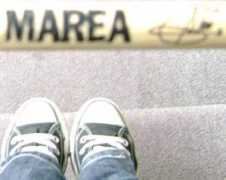 Marea