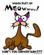 Meowcat