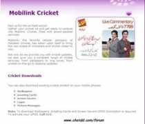 Mobilink