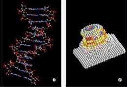 Molecules